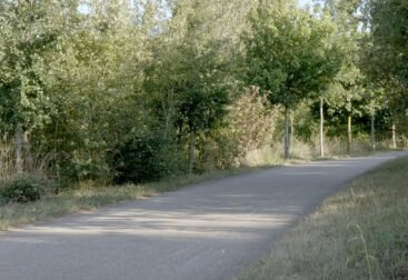 Parque de Salburua
