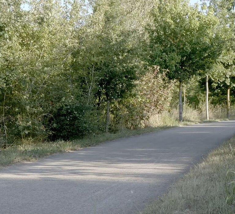 Parque de Salburua