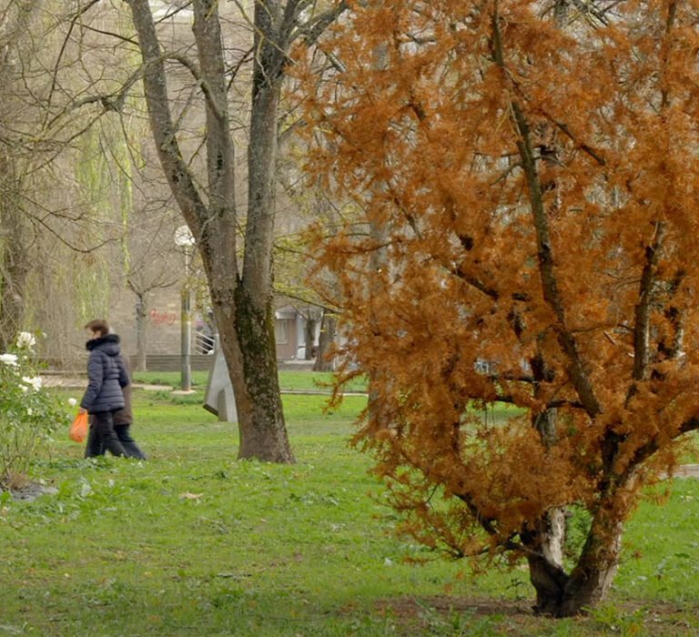 Parque del Conservatorio (Anamórfico)