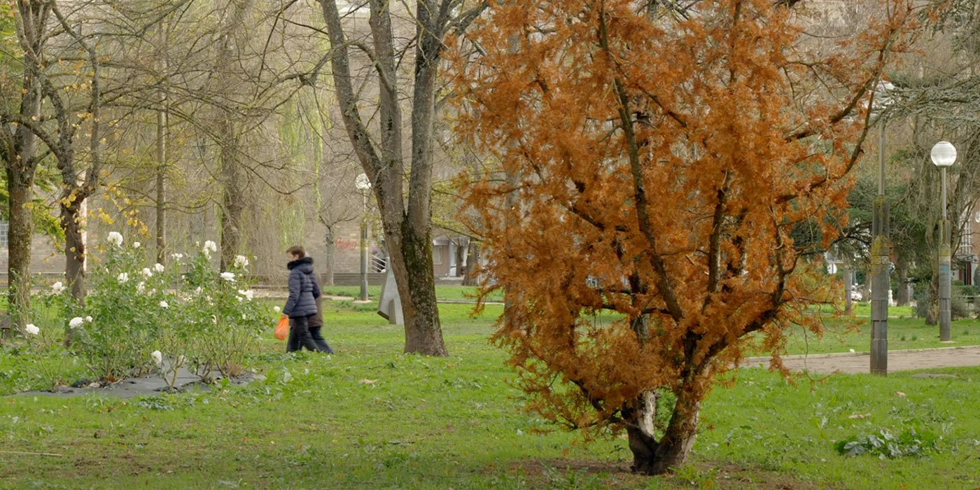 Parque del Conservatorio (Anamórfico)