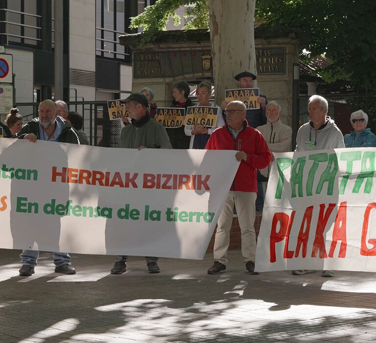 En defensa del territorio alavés, Araba ez dago salgai